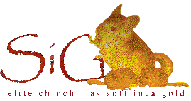 logo2.gif