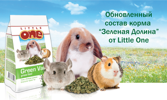 Сait.png Сait.png