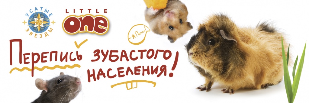 Banner-1.jpg