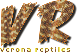 logo_Verona.png