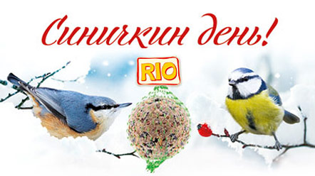 maket_sinichki_01.jpg maket_sinichki_01.jpg