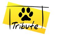 TRIBUTE_logo.jpg
