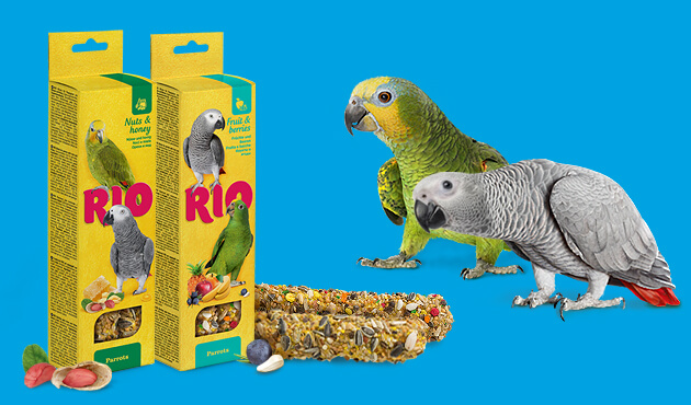 RIO Sticks for parrots