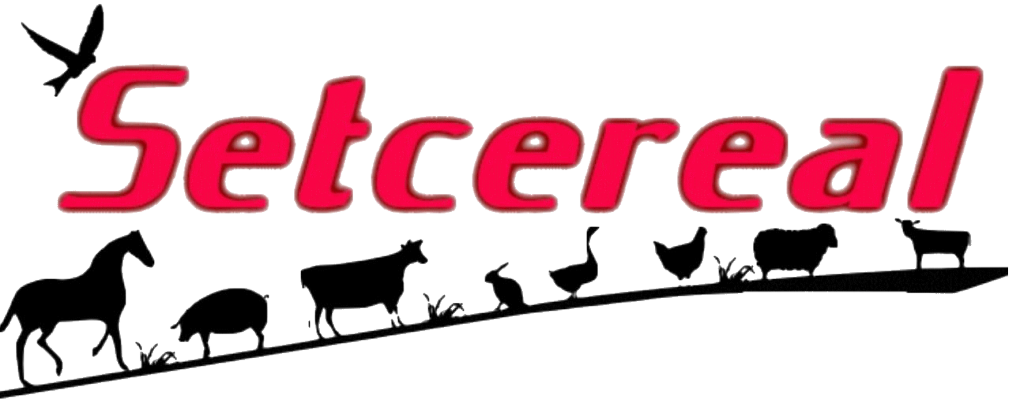 setcereal_SiGn.png