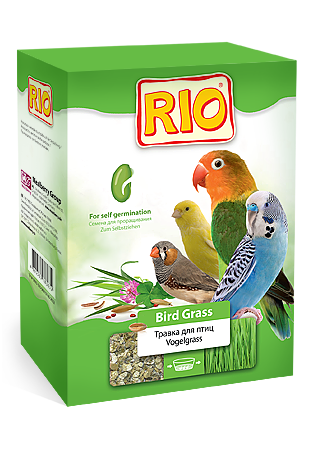 Grass_RIO_300_460.png