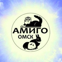 Аmigo.jpg