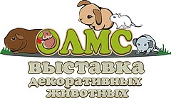 170425377.jpg